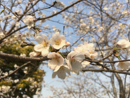 随它不负春光，恰如马里布海滩沉醉的晚上