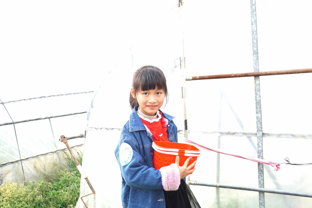 春季服务开放日！苏州新丰泰自驾采摘之旅