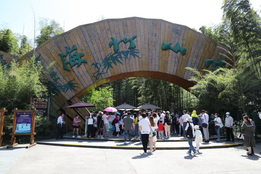 竹海平陵，逐梦仙境—福特锐际ESCAPE探寻之旅